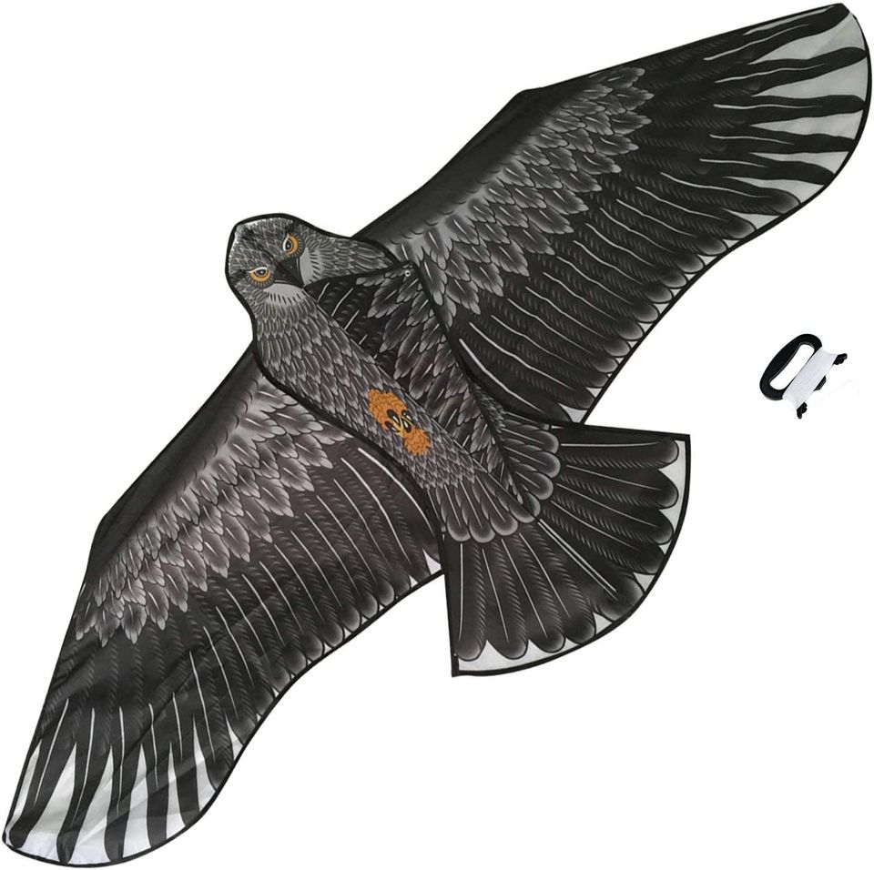 Bdt Drachen, Einleiner, Kite für Kind und Erwachsene *Adler* inkl. 50m Leine, 180x85cm