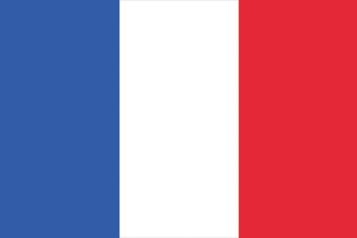 EUROPALMS Flagge, Frankreich, 600x360cm