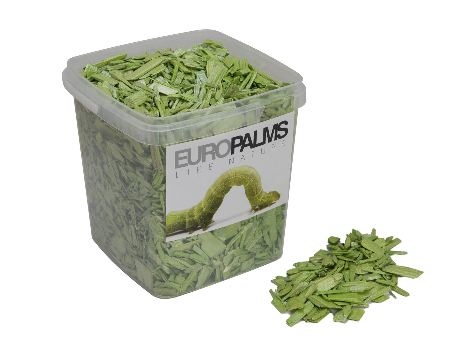 EUROPALMS Deko-Holz, limette, 5,5l Eimer