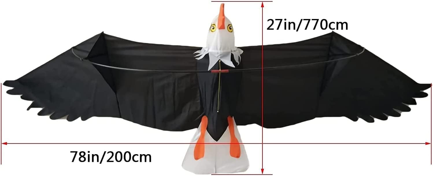 Bdt Drachen, Einleiner, Kite für Kind und Erwachsene *Adler 3D* inkl. 30m Leine, 200x70cm