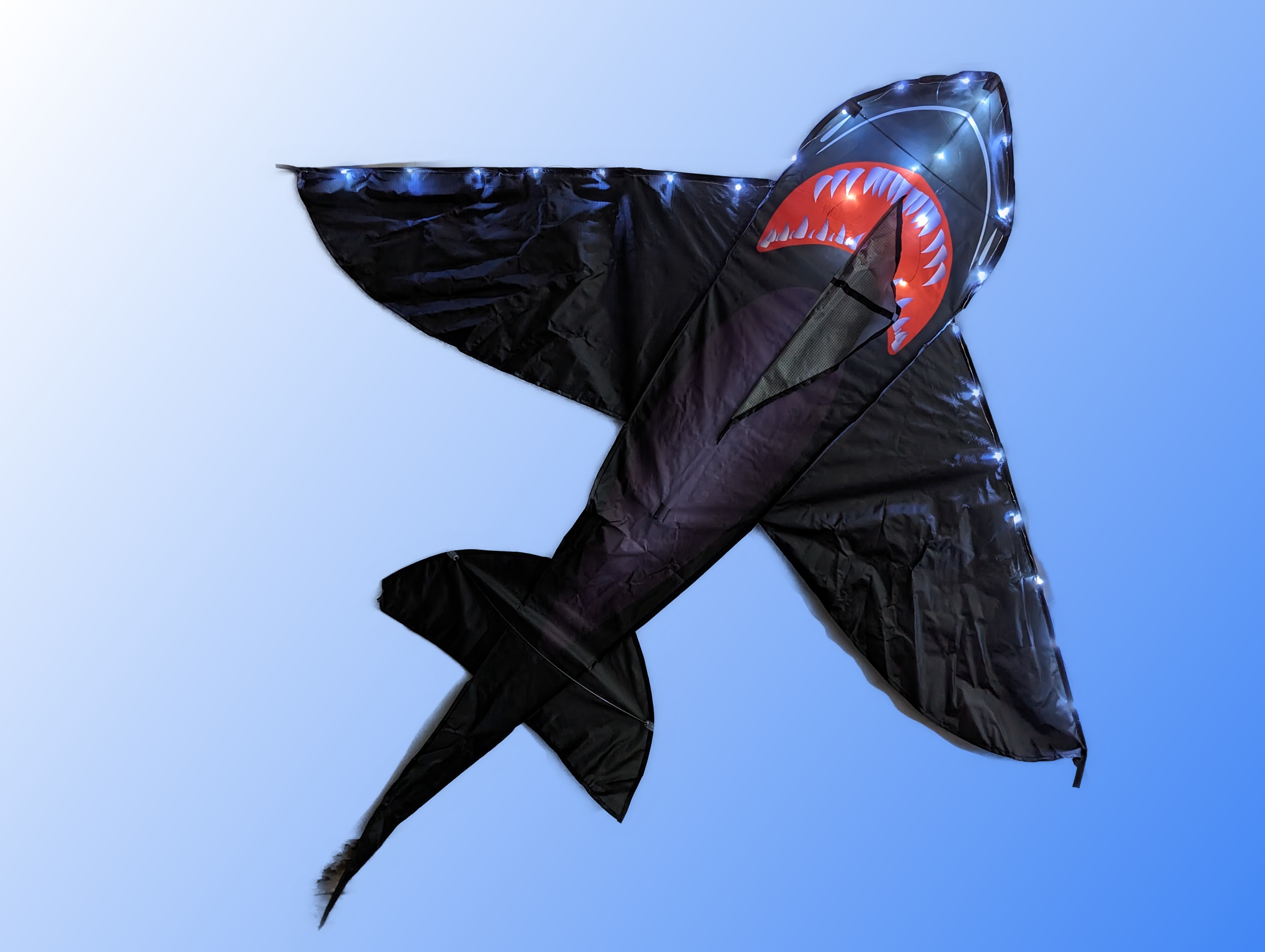 Bdt Drachen, Einleiner, Kite für Kind und Erwachsene *Hai-LED* inkl. 50m Leine, 10erPack Batterien, 165x145cm