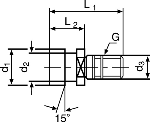 Anzugsbolzen DIN2080 Ott-Ringnut SK40 m.IG PROMAT