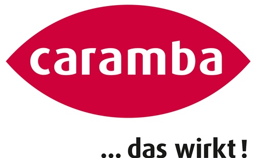 Aktiv Schaumreiniger 500 ml Spraydose CARAMBA
