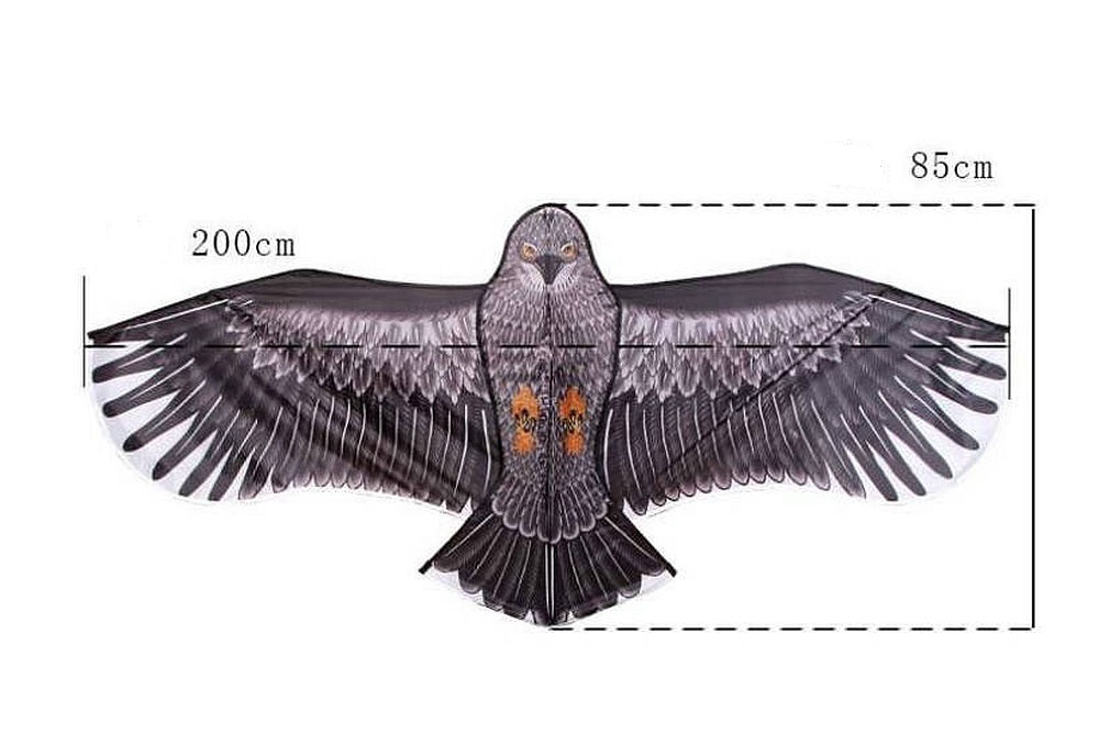Drachen, Einleiner, Kite für Kind und Erwachsene *Adler*inkl. 50m Leine, 180x85cm