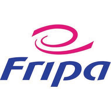 fripa Papierhandtuch Plus 4011103 V-Falz 25x23cm na 20x250 Bl./Pack.