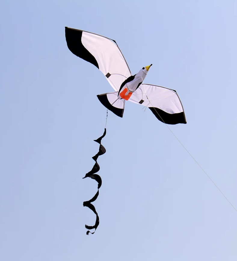 Bdt Drachen, Einleiner, Kite *Möwe* inkl. 30m Leine, 140x55cm+1,4m Stabilisierungsband