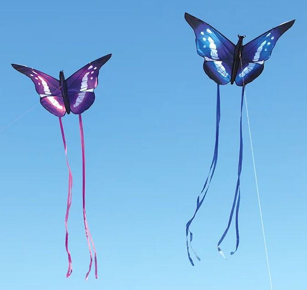 Bdt Drachen, Einleiner, Kite für Kind und Erwachsene *Schmetterling blau* inkl. 30m Leine, 130x85cm