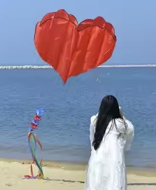 Bdt Softkite, Drachen, Einleiner  für Kind und Erwachsene *Herz* inkl. 30m Leine, 160 x180 + 450cm Windkegel