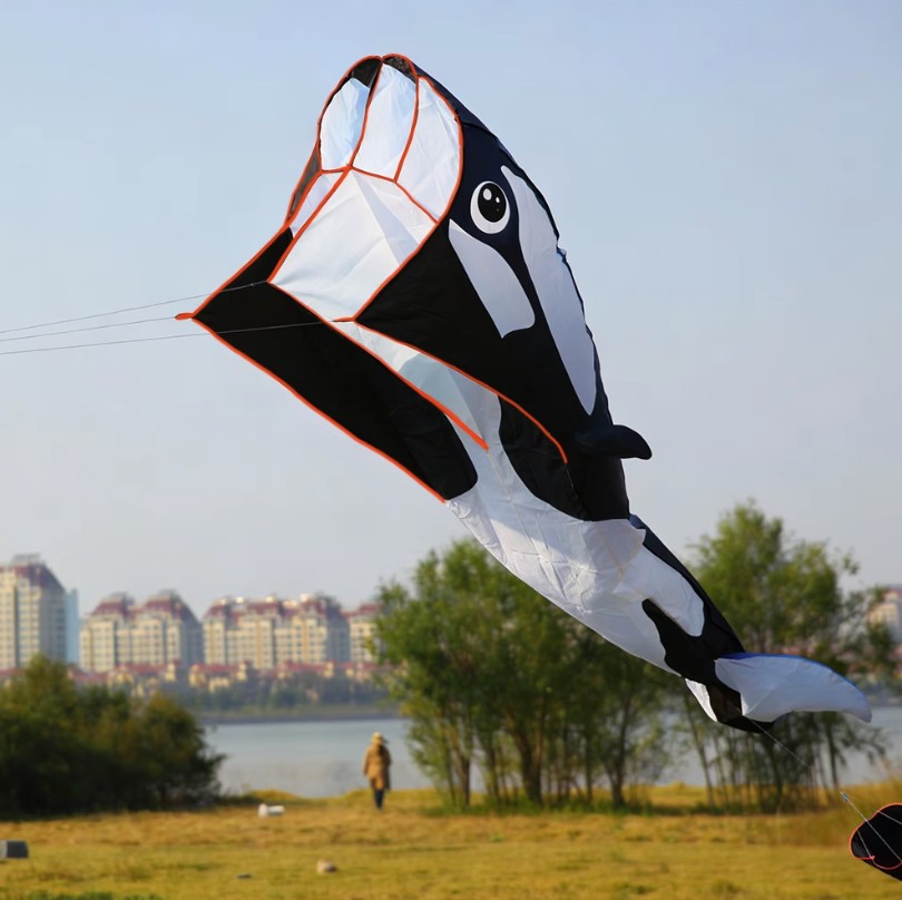 Bdt Softkite, Drachen, Einleiner  für Kind und Erwachsene *Wal* inkl. 30m Leine, 120x210+200cm