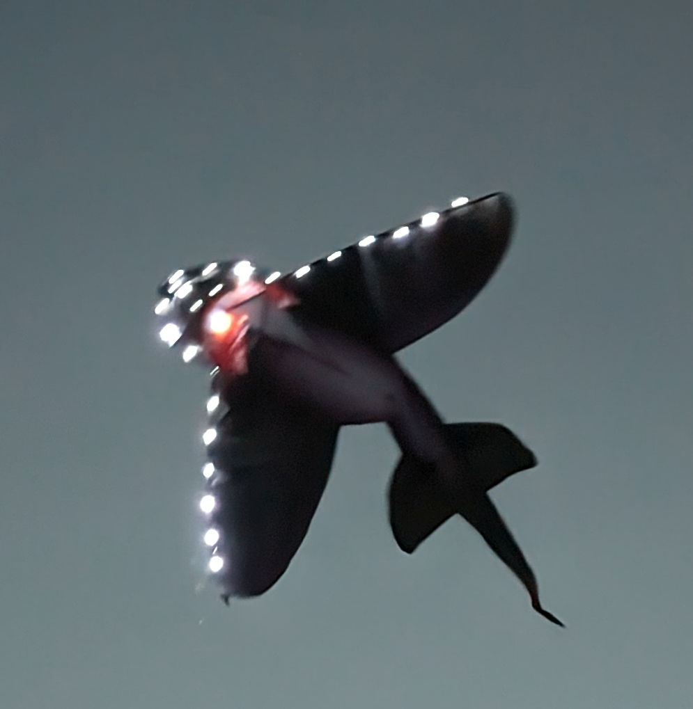 Bdt Drachen, Einleiner, Kite für Kind und Erwachsene *Hai-LED* inkl. 50m Leine, 10erPack Batterien, 165x145cm