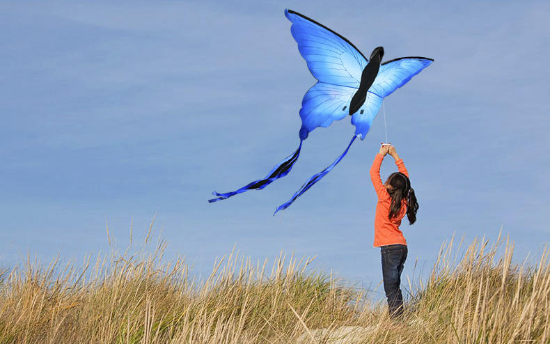 Bdt Drachen, Einleiner, Kite für Kind und Erwachsene *LED-Butterfly* inkl. 30m Leine, 75x140cm +1,5m Bänder