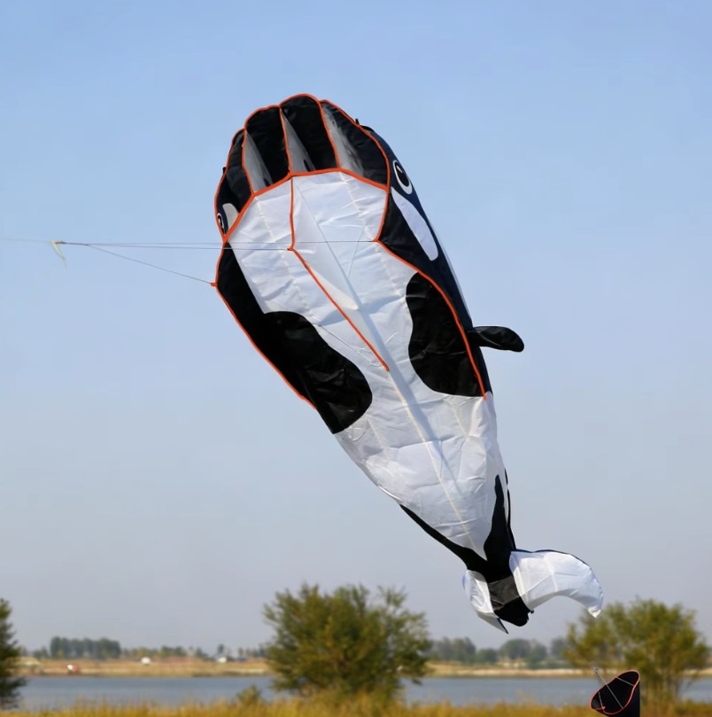 Bdt Softkite, Drachen, Einleiner  für Kind und Erwachsene *Wal* inkl. 30m Leine, 120x210+200cm