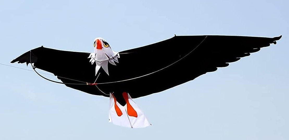 Bdt Drachen, Einleiner, Kite für Kind und Erwachsene *Adler 3D* inkl. 30m Leine, 200x70cm