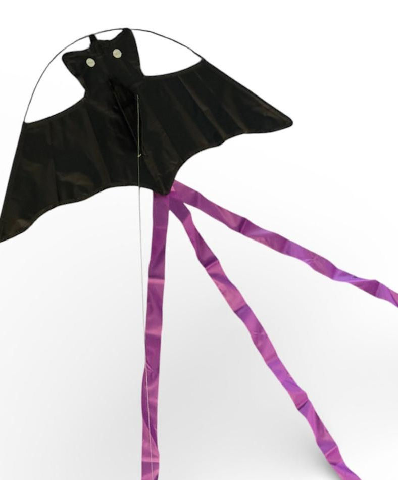 Bdt Drachen, Einleiner, Kite für Kind und Erwachsene *Batkite* inkl. 50m Leine, 60x30cm + 3m Schweif